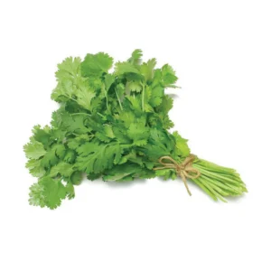 Coriander