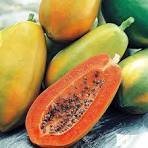Papaya Big