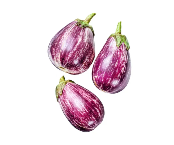 ravaya-st-aubergine_ec864809-dc71-4afc-ba5b-d81018318b27_700x.webp ravaya-st-aubergine_ec864809-dc71-4afc-ba5b-d81018318b27_700x.webp