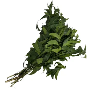 Fresh Neem Leaves (Kadvo Limbdo) /1 PACK (APPROX. 100 GM)