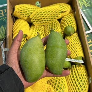 Nuzveedu Chinna Rasalu Mango – box of 4 kgs (Pre-order)