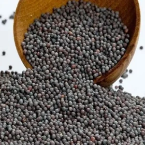 Mustard Bold Seeds - 400g Packet 4