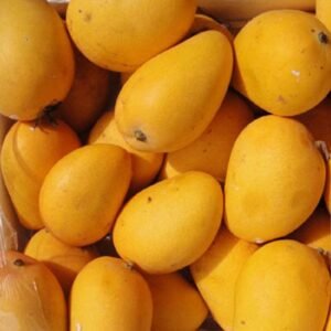Chinna Rasalu Mangoes Appx. 3KG /8-10 PCs PRE-ORDER NOW! Collection / Delivery