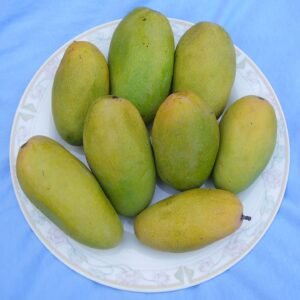 Dasseri/Dasheri  12pcs/apprx 3.2 KG-  PRE-ORDER NOW! Collection / Delivery: 23-25th MAY (Copy)