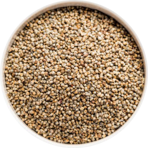 BAJRA (PEARL MILLET) 1Kg Packet 4