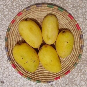 Chausa mangoes One Dozen Box. Appx 3kg 6-9 PCs PRE-ORDER NOW! Collection / Delivery: 18-20 June (Copy)